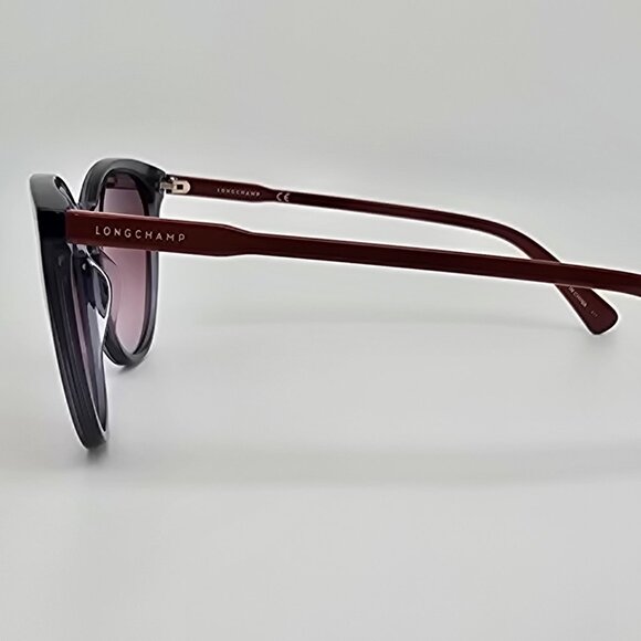 Longchamp LO606S 429 Petrol Brick Frame Brown Gradient Lens Sunglasses w/ Case main image 14